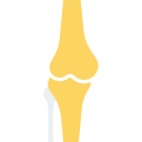 rodilla icon