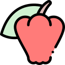 manzana rosa icon