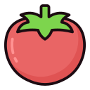 tomate icon