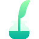 escritor 