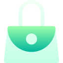 bolso icon