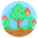 incendio forestal icon