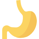 bauch 