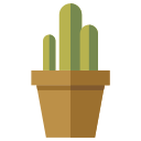 cactus icon