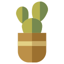 cactus icon