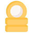 moneda icon