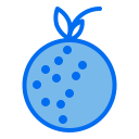 lychee icon