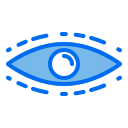 ojos icon