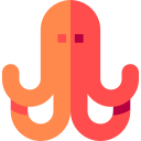 pulpo icon