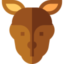 canguro icon