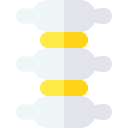 columna vertebral icon