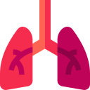 pulmones icon