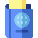 pasaporte icon