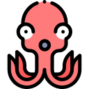 pulpo