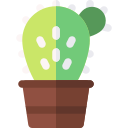 cactus icon