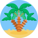 palmera icon