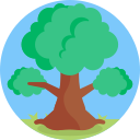 Árbol icon