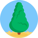 Árbol icon