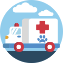 ambulancia icon