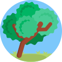 Árbol icon