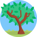 Árbol icon