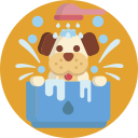 ducha icon