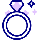 anillo icon