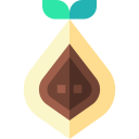 cacao icon