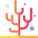 Coral 