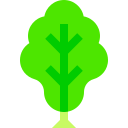 vegetal icon