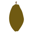 Cacao 