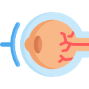 ojo icon