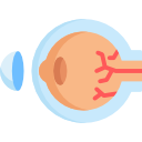 ojo icon