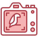 enfocar icon