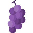 uvas icon