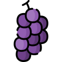 uvas icon