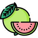 guayaba icon