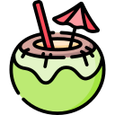 bebida de coco icon