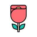 rosa icon