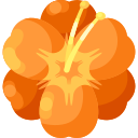 clivia icon