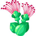 ohia lehua icon