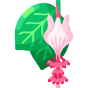 medinilla icon