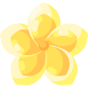 frangipani icon