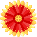 gaillardia icon