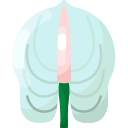 anturio icon