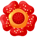 rafflesia icon