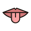 lengua icon