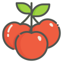 cereza icon