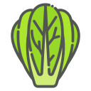 lechuga icon