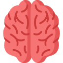 Brain icon